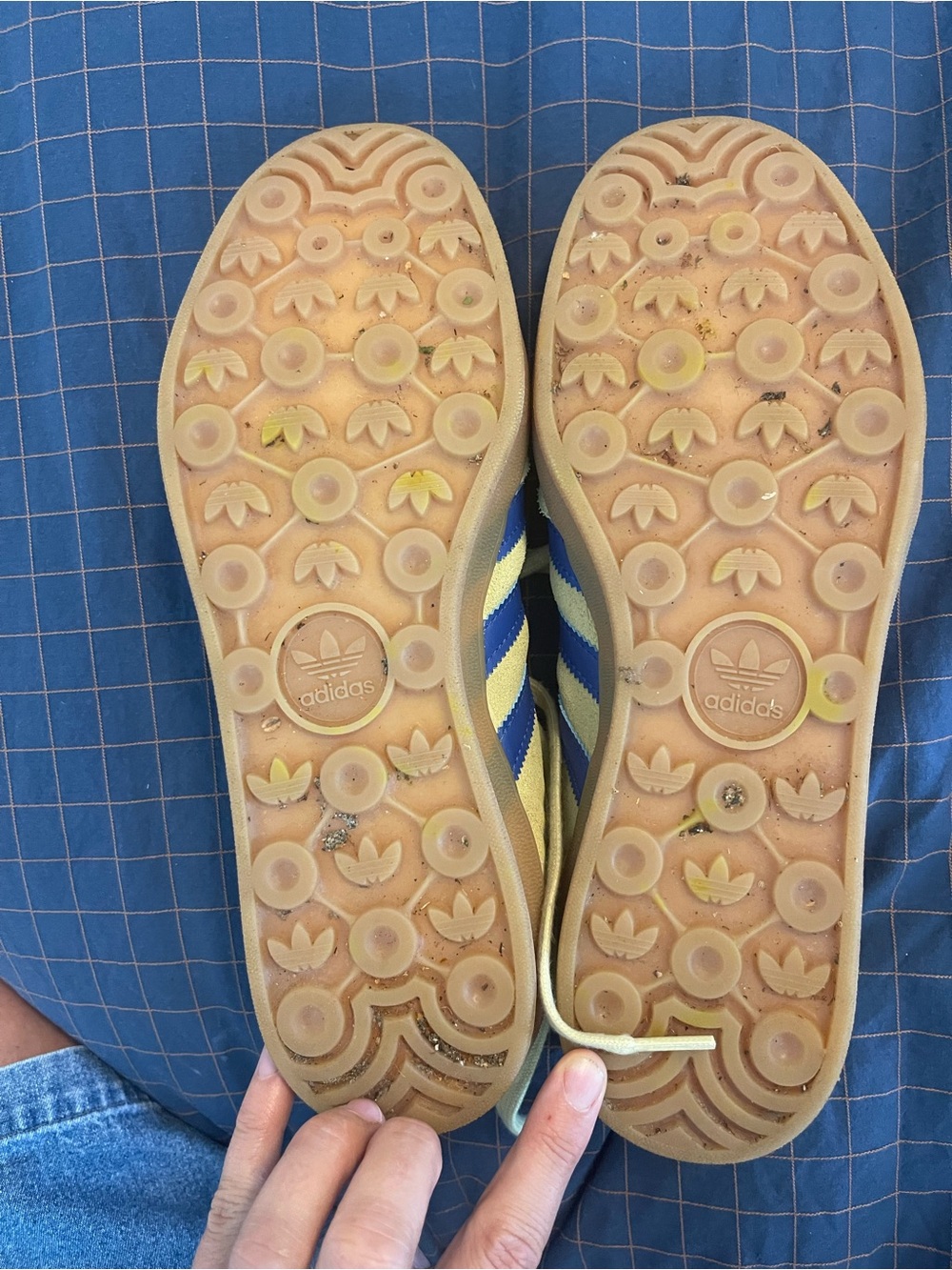 adidas Yellow and Blue Men's Sneakers - Picture 11 of 11